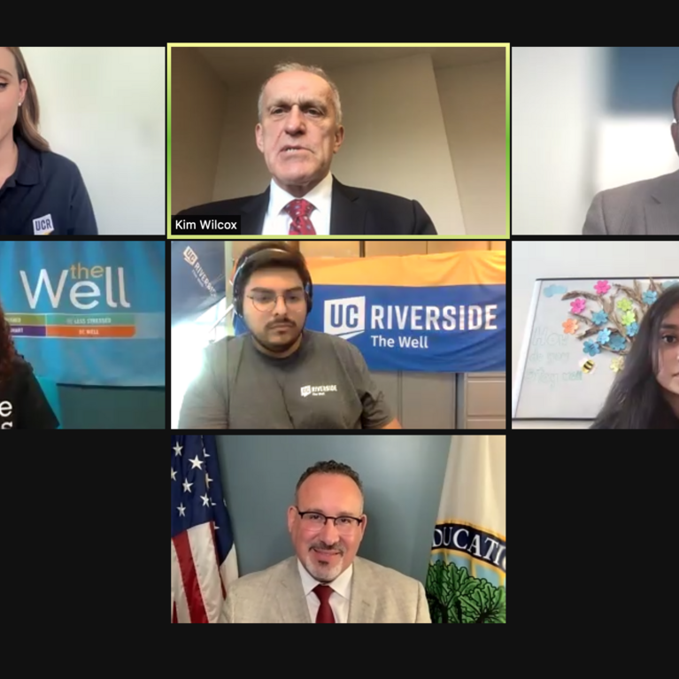 Screenshot of roundtable